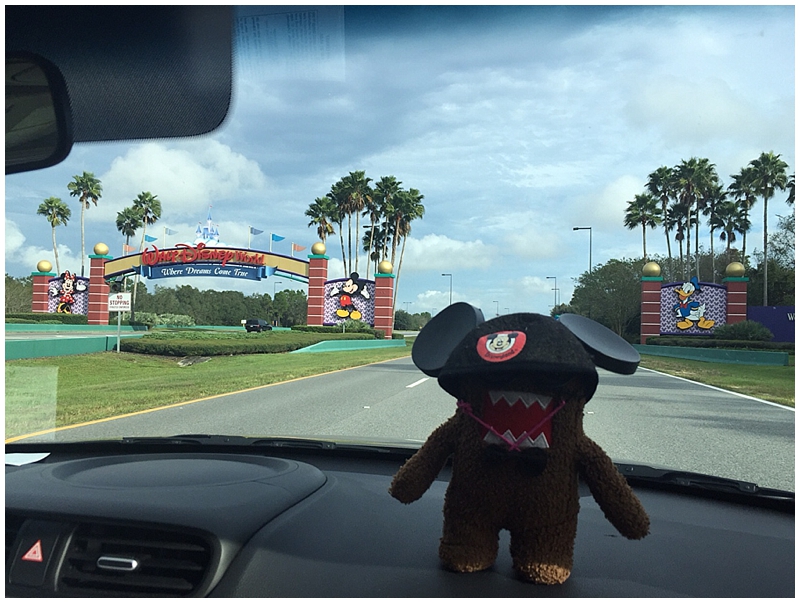    Even Domo couldn't help getting into the Disney spirit!&nbsp;   